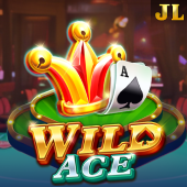 Wild Ace happy bingo game